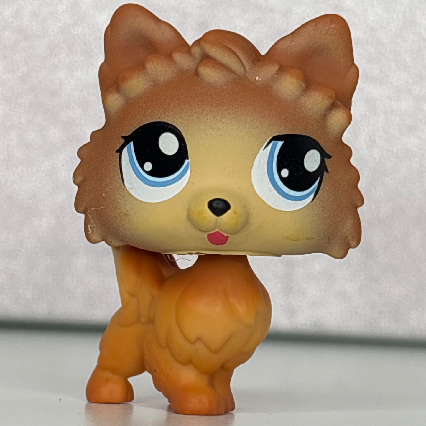LPS Pomeranian Dog