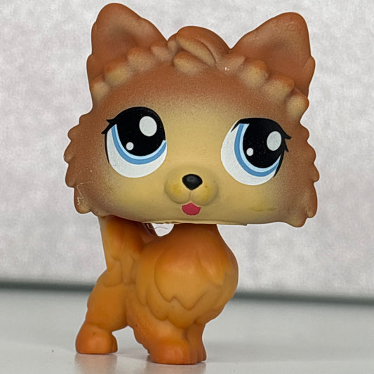 LPS Pomeranian Dog
