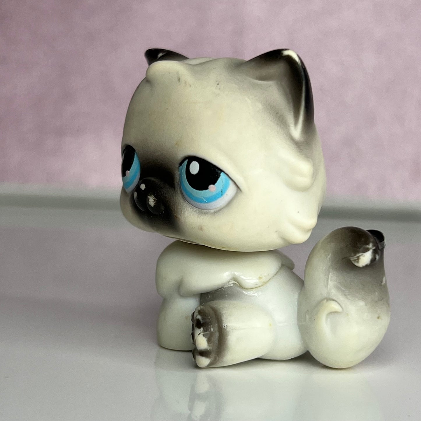 LPS Persian Cat #60