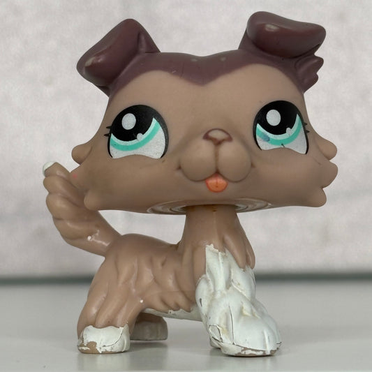 LPS Collie Dog#1330