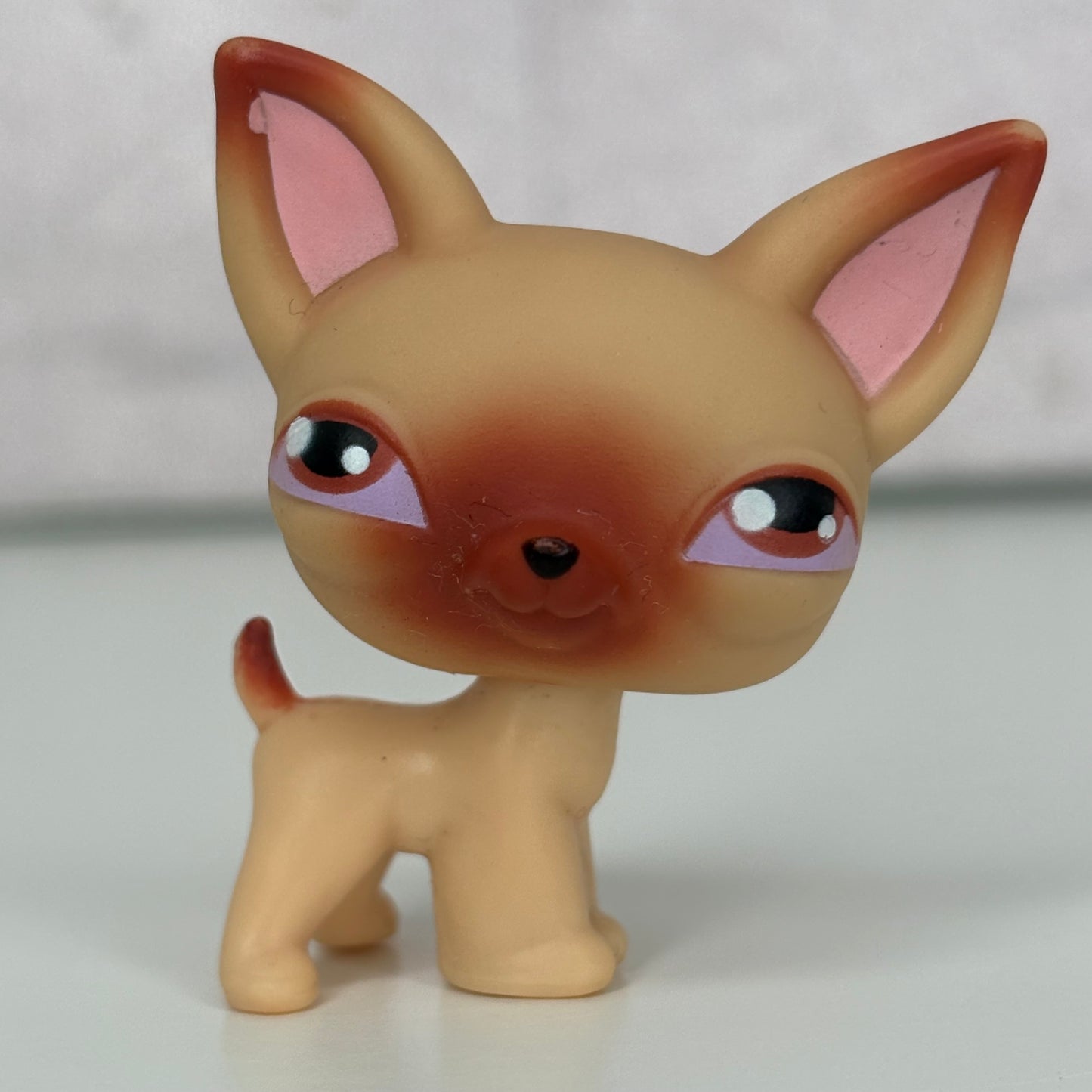 LPS Chihuahua Dog #1*