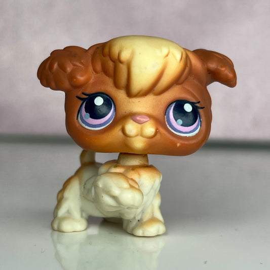 LPS Poodle Dog #591