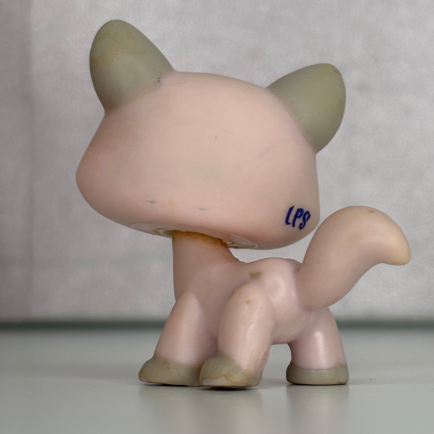 LPS Destiny Cat #1326