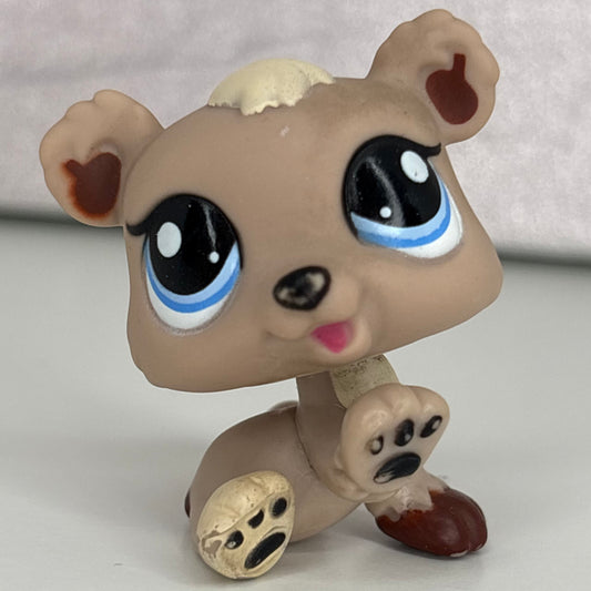 LPS Triplet Bear #1555