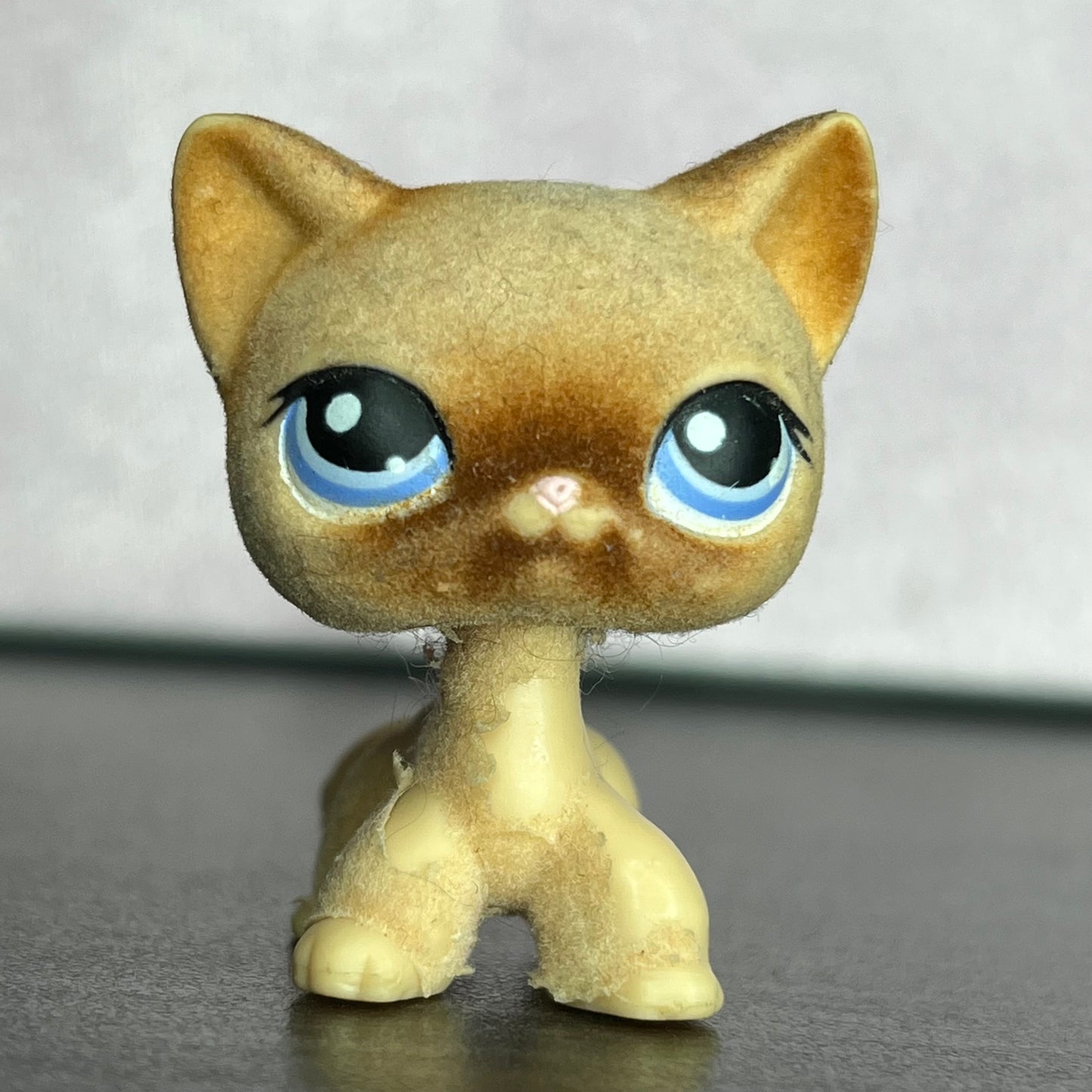 LPS Flocked Shorthair #338