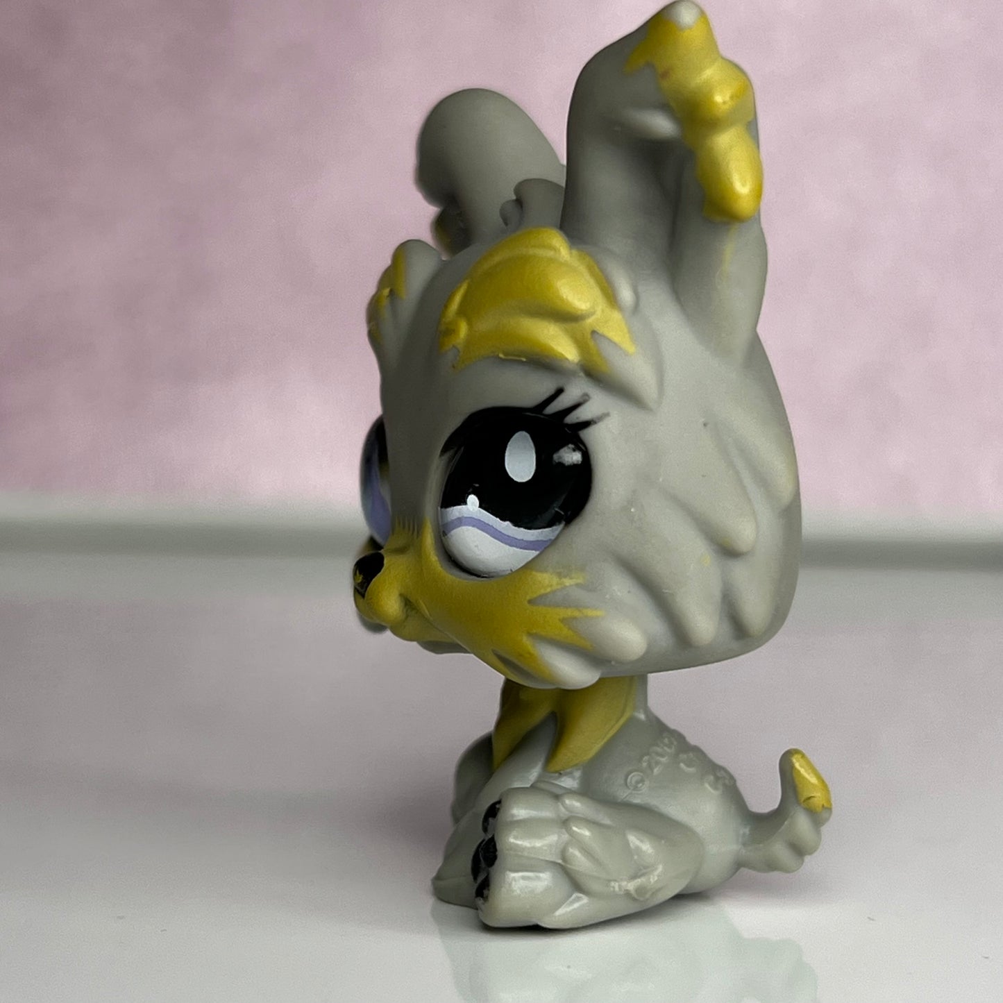 LPS Glass Eye Yorkie Dog #883