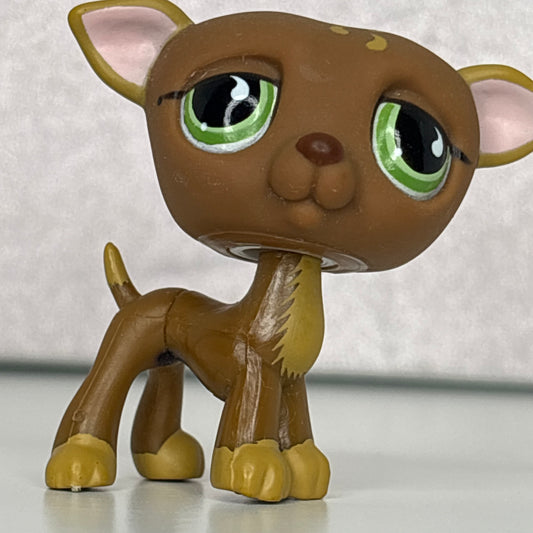 LPS Brown Greyhound Dog #507