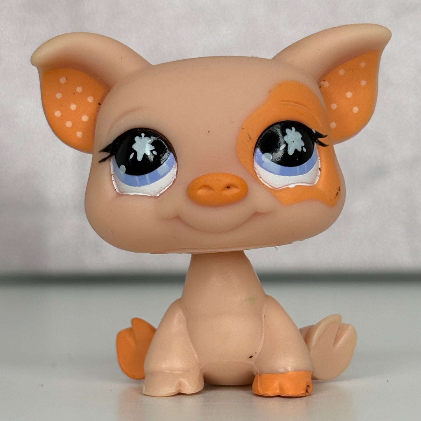 LPS Pig #885