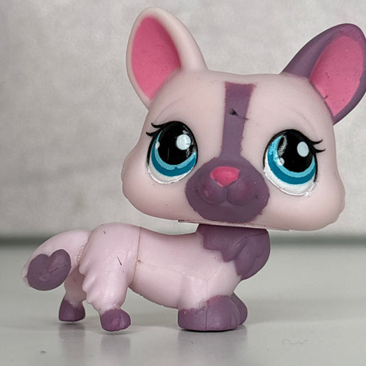 LPS Corgi Dog*