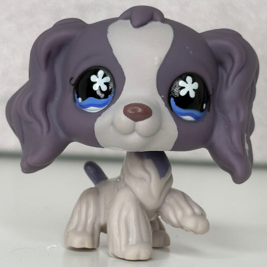 LPS Purple  Cocker Spaniel Dog #672