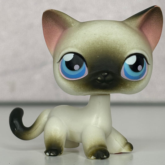 LPS Siamiese Shorthair Cat #5*