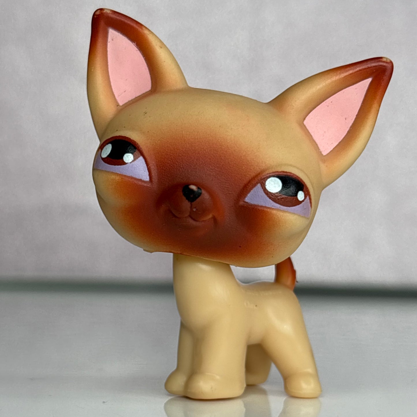 LPS Chihuahua Dog #1