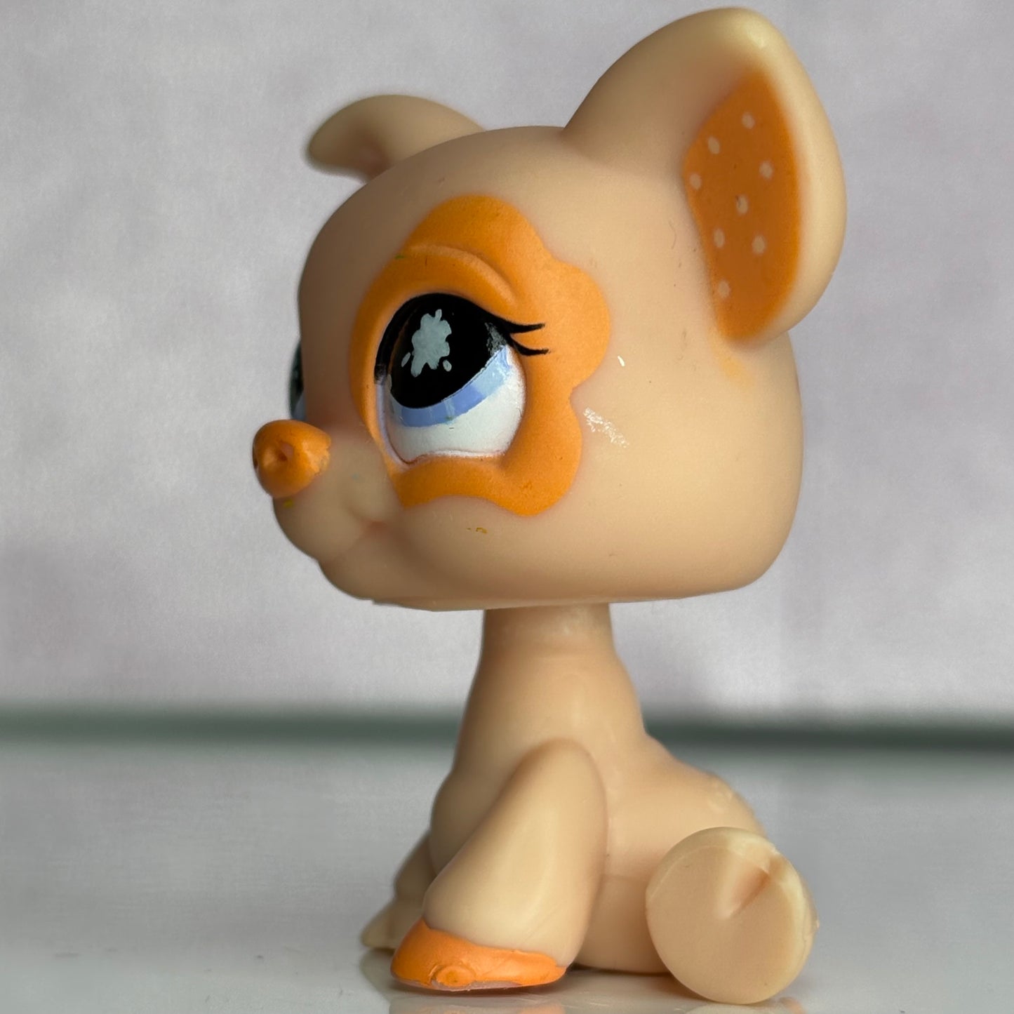 LPS Pig #885