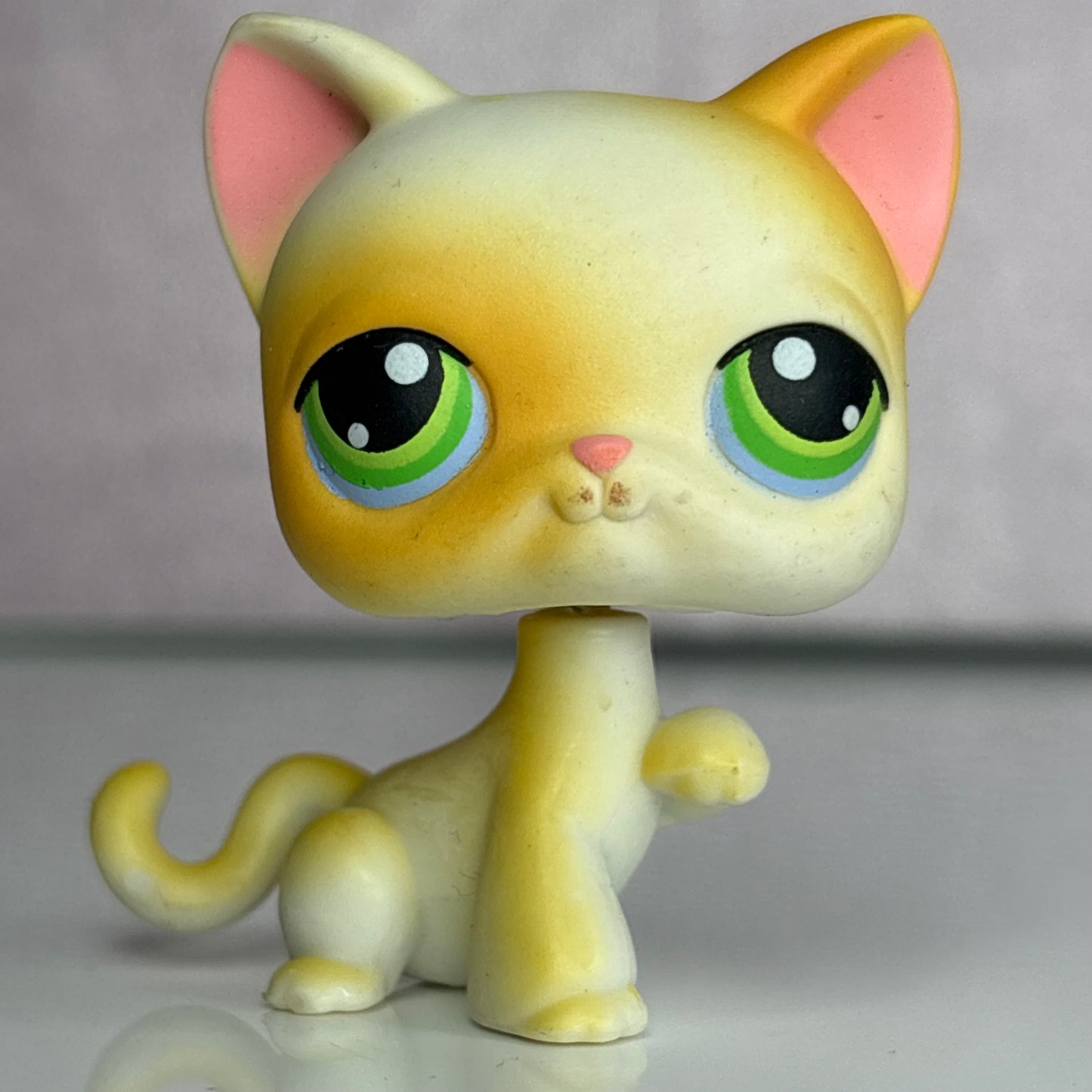 LPS Paw Up Shorthair Cat #73