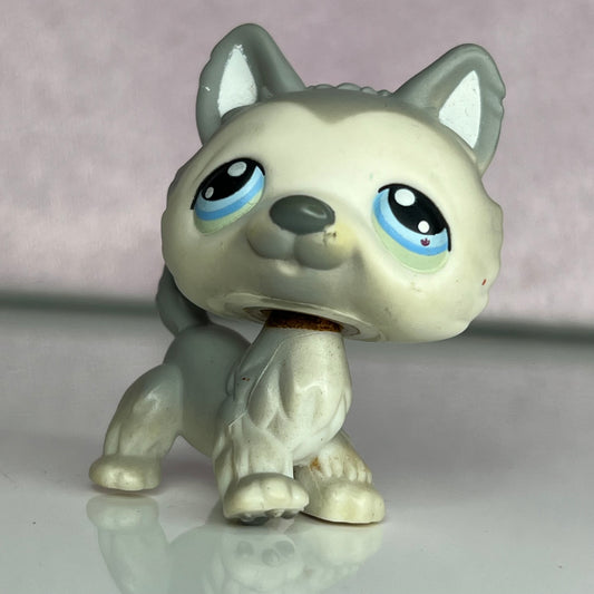 LPS Husky Dog #69