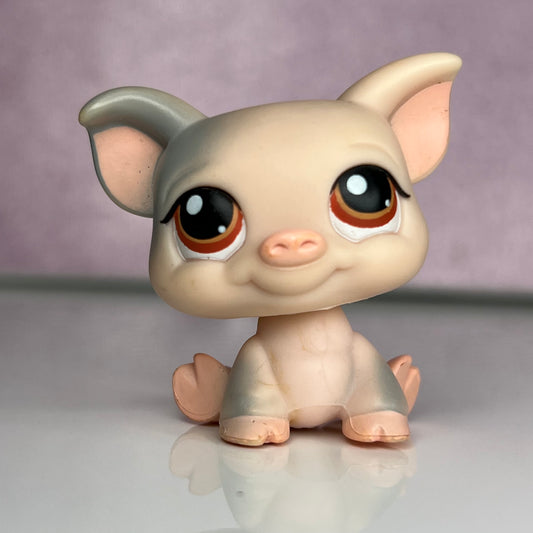 LPS Pig #276