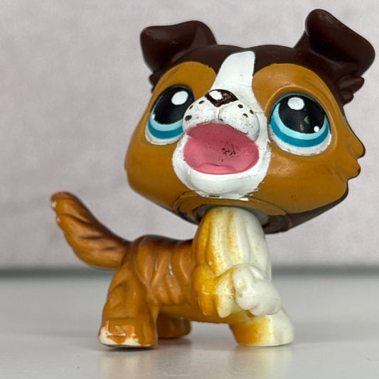LPS Open Mouth Collie Dog