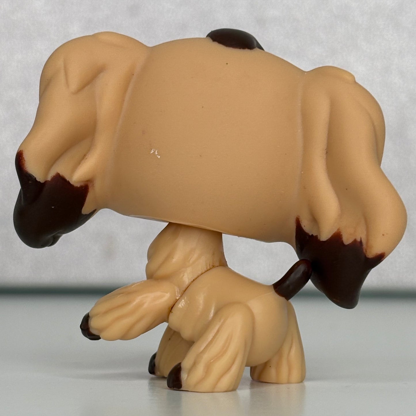 LPS Cocker Spaniel Dog #575