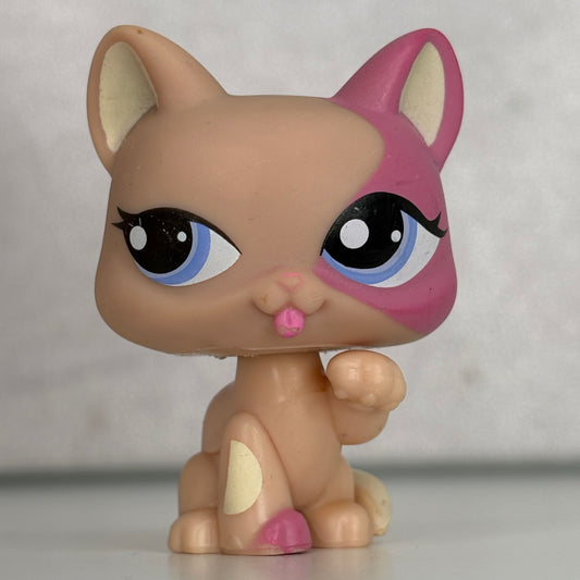 LPS Paw Up Cat*