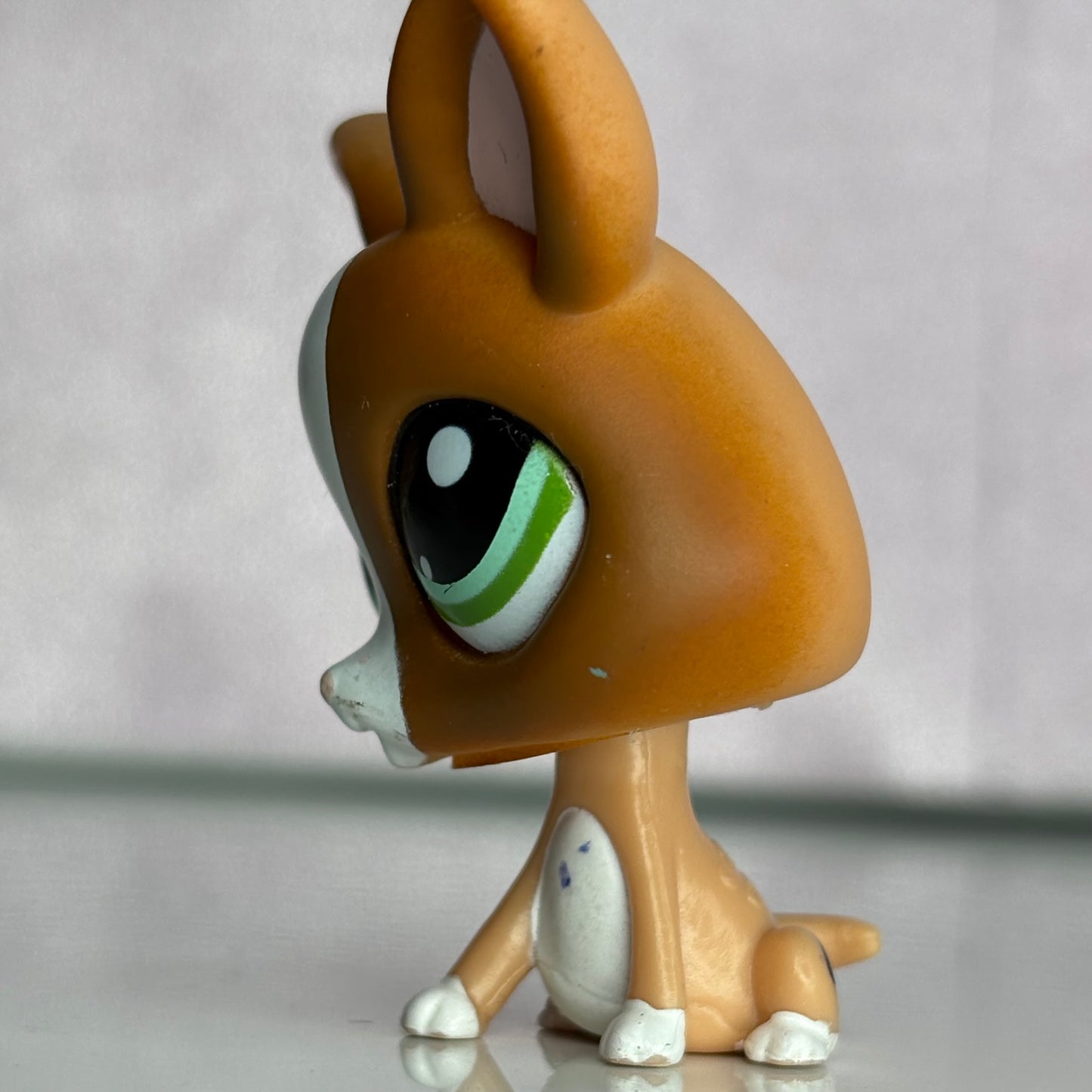 LPS Chihuahua Dog #1568