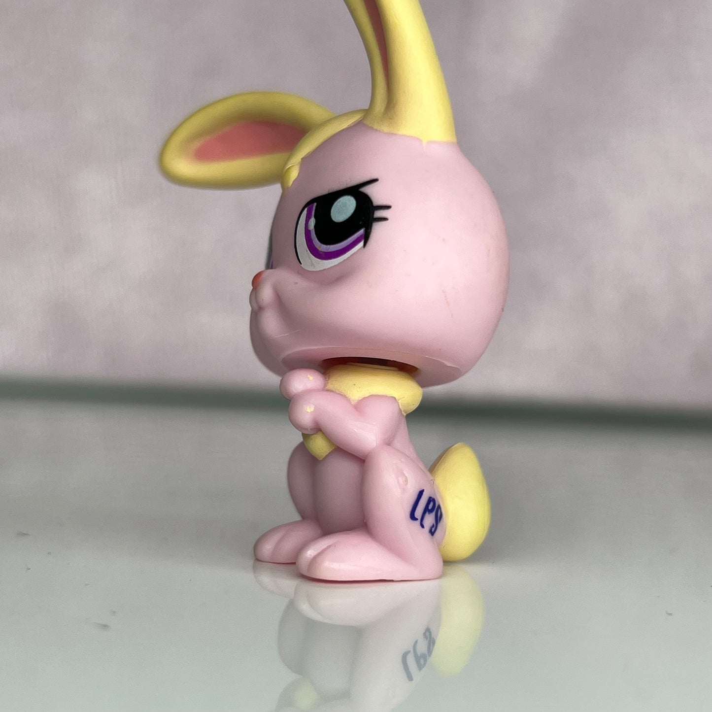 LPS Rabbit #1484