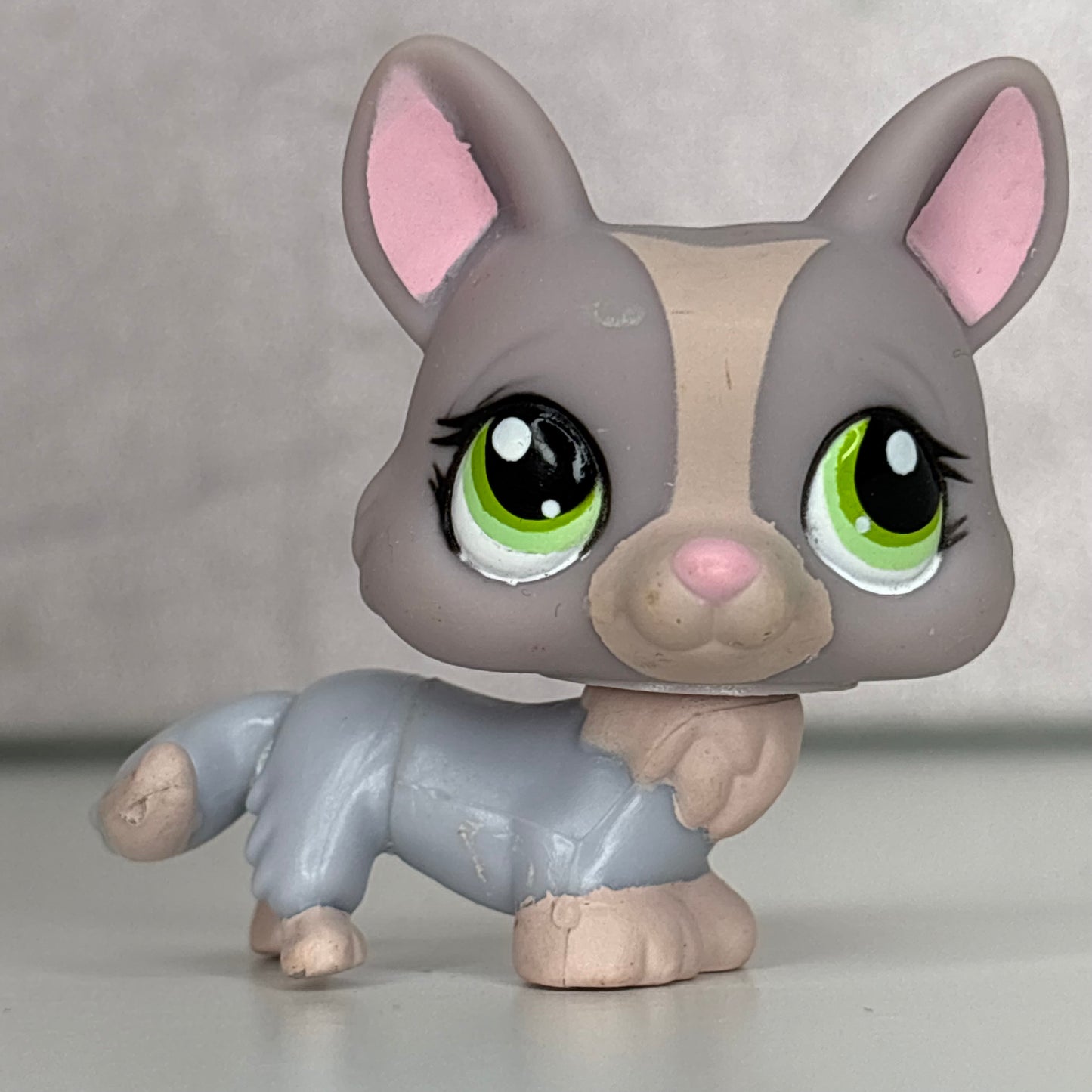 LPS Corgi Dog