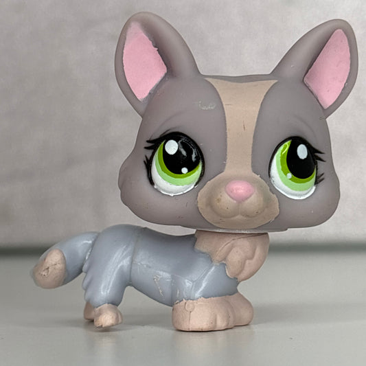 LPS Corgi Dog