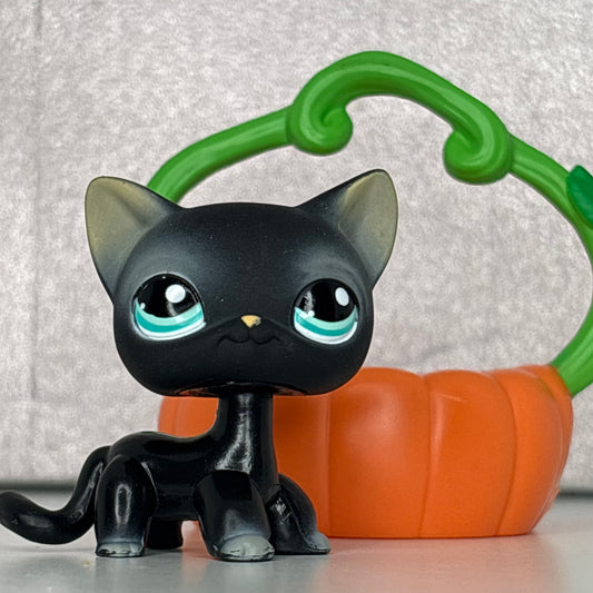 LPS Shorthair Cat W/ Original Accessory #994**