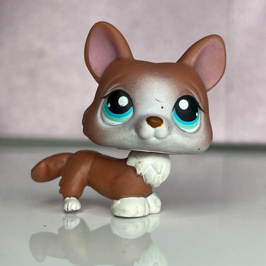 LPS Corgi Dog #317