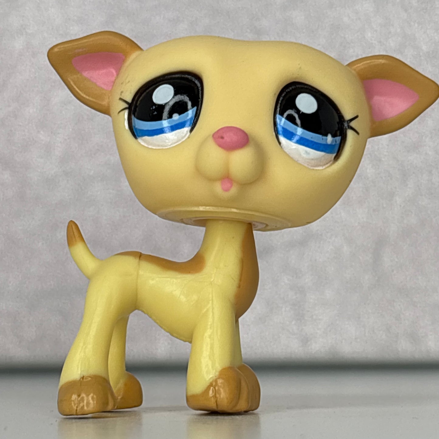 LPS Greyhound Dog #2041