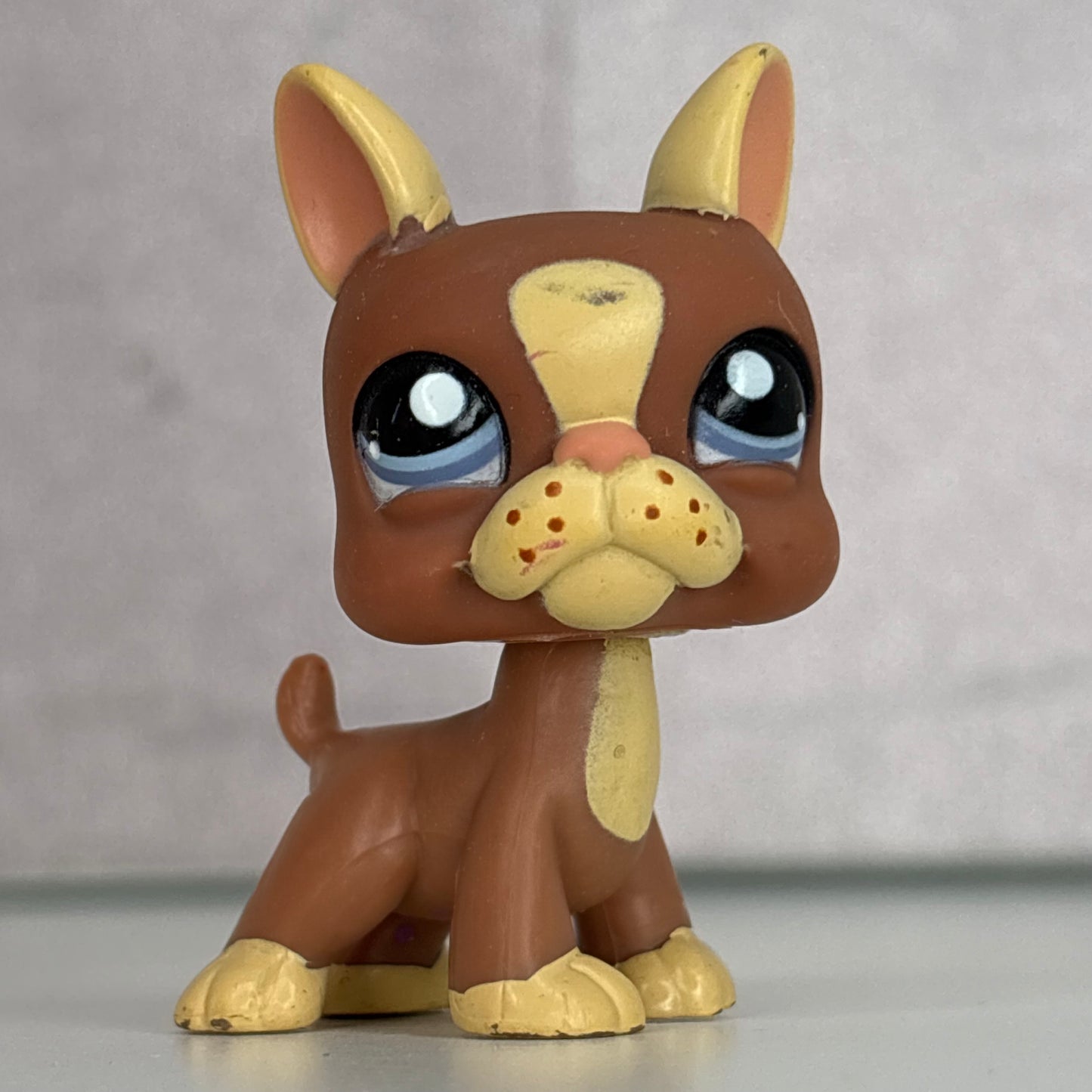 LPS Boston Terrier Dog