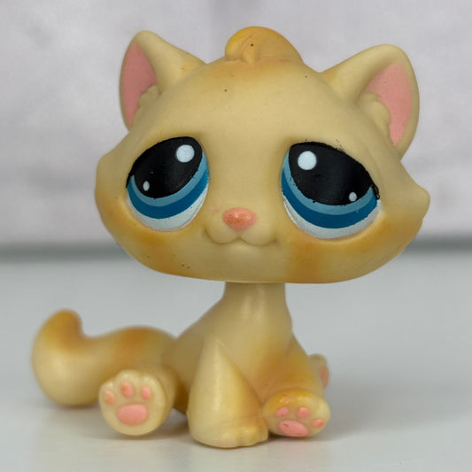 LPS Bon Bon Cat #122