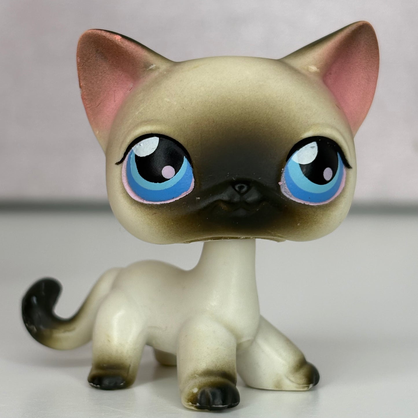 LPS Siamiese Shorthair Cat #5*