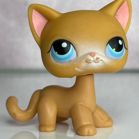 LPS Shorthair Cat #71