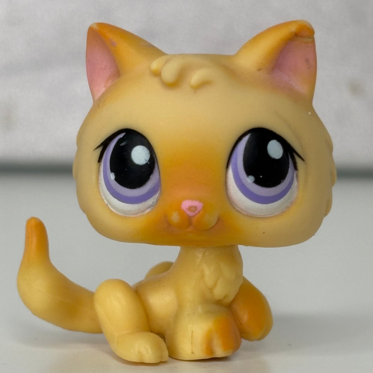 LPS Kitten #248