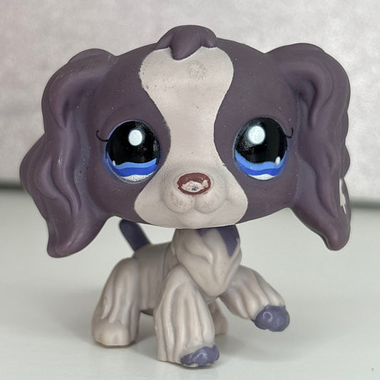 LPS Purple  Cocker Spaniel Dog #672