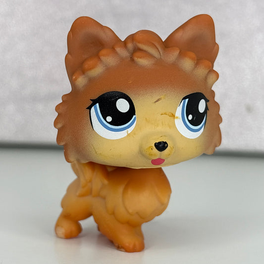 LPS Pomeranian Dog