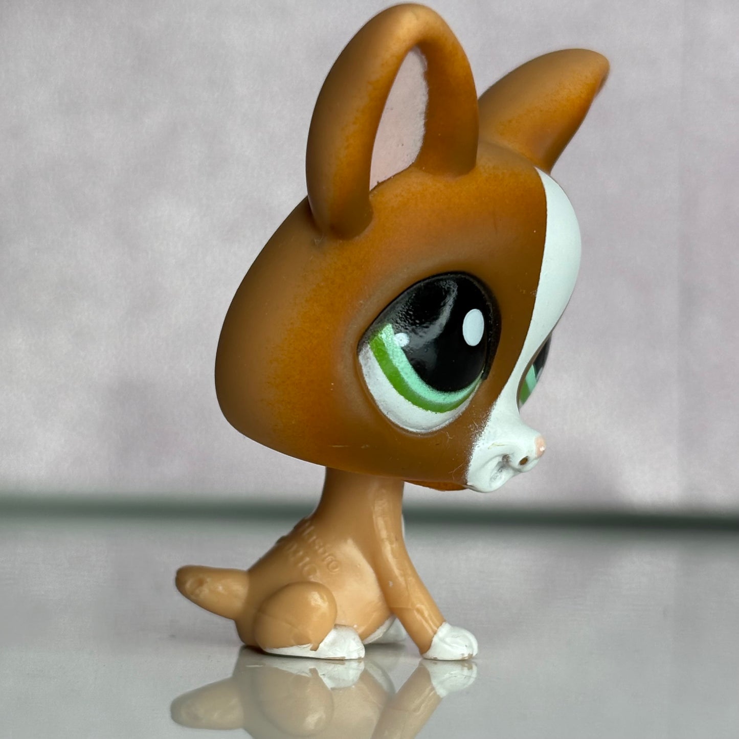 LPS Chihuahua Dog #1568