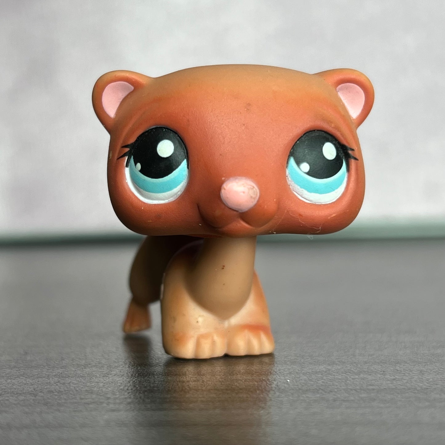 LPS Ferret #334