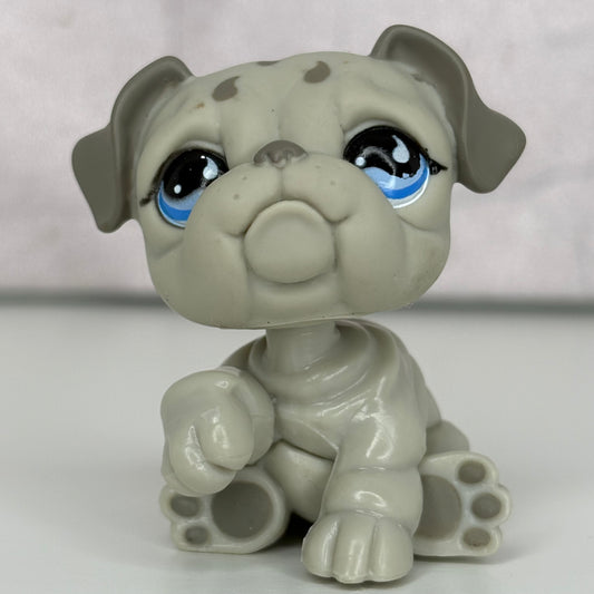 LPS Bulldog #508