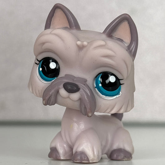 LPS Scottish Dog #1201