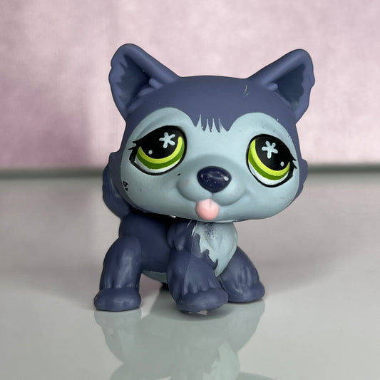 LPS Husky Dog #487