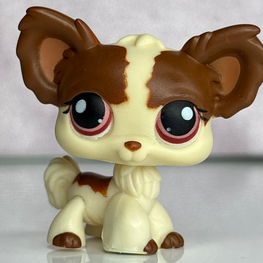 LPS Chihuahua Dog #385