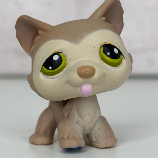 LPS Husky Dog #358