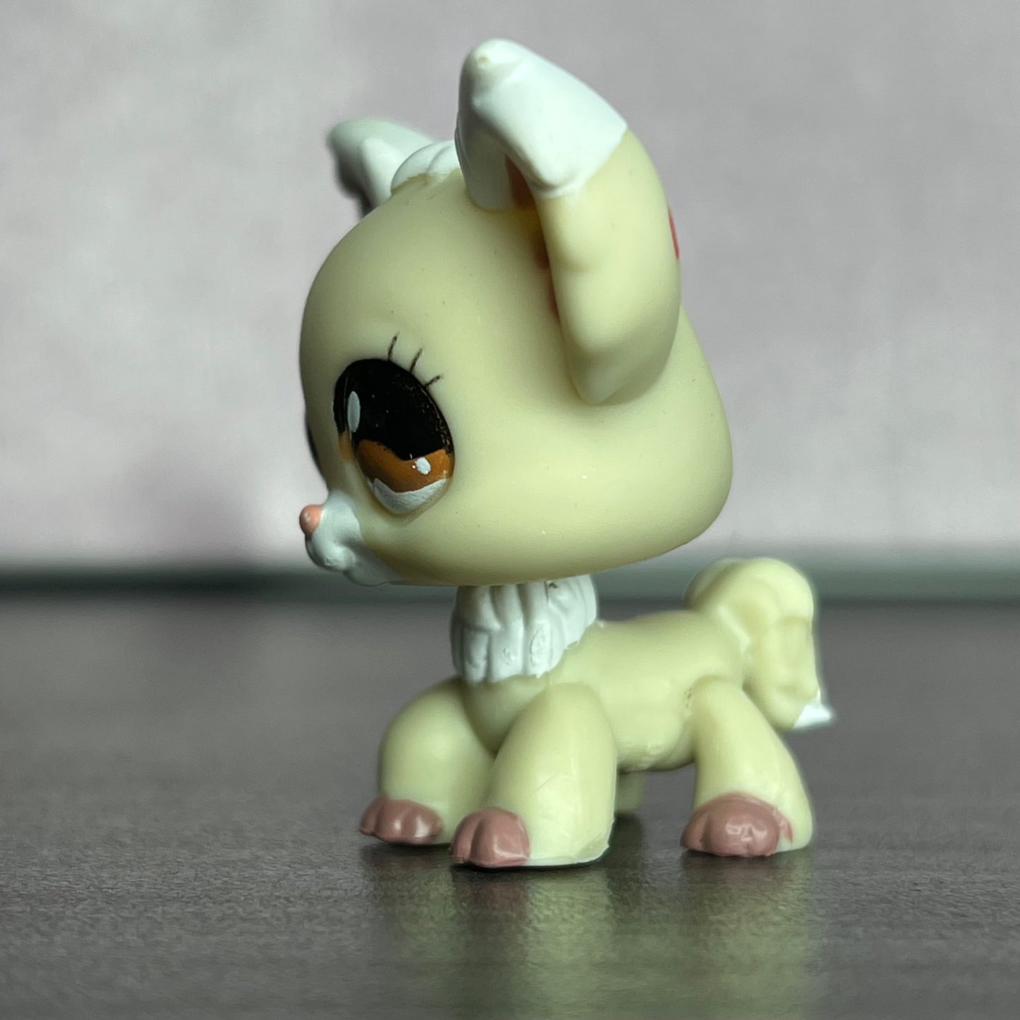 LPS Chihuahua Dog #1199