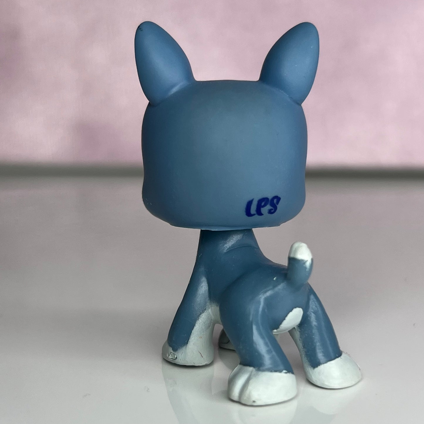 LPS Blue Boston Terrier #102