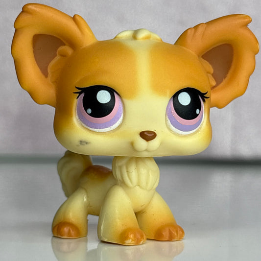 LPS Chihuahua Dog #96