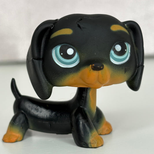 LPS Black Dachshund Dog #325