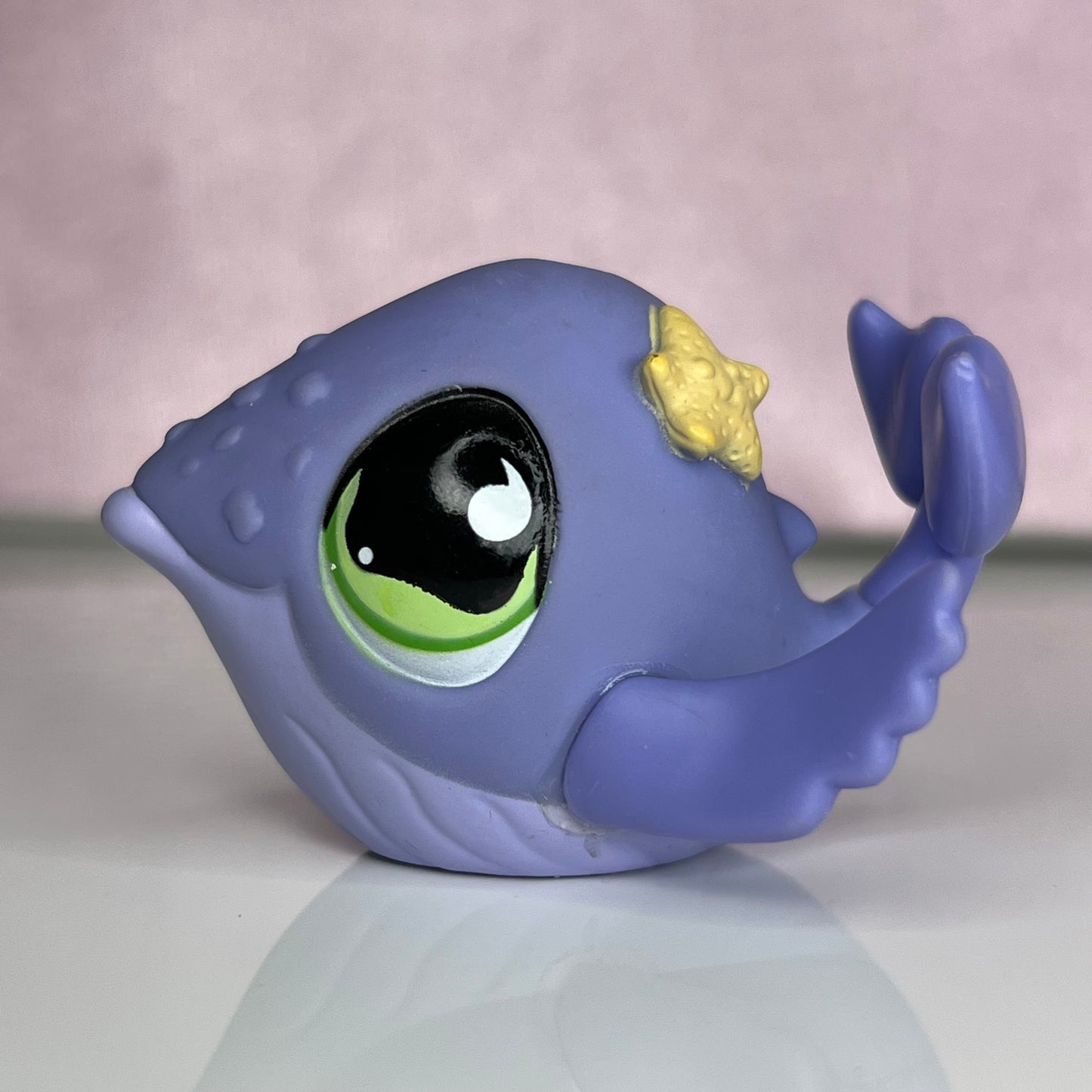 LPS Whale #895