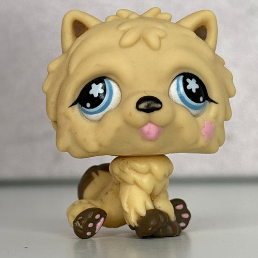 LPS Chow Chow Dog #662